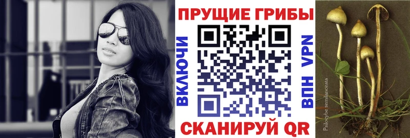 Псилоцибиновые грибы ЛСД  ссылка на мегу ссылка  Рязань 